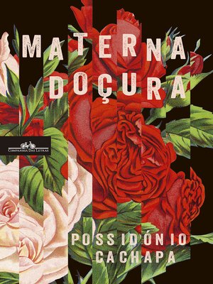 cover image of Materna Doçura